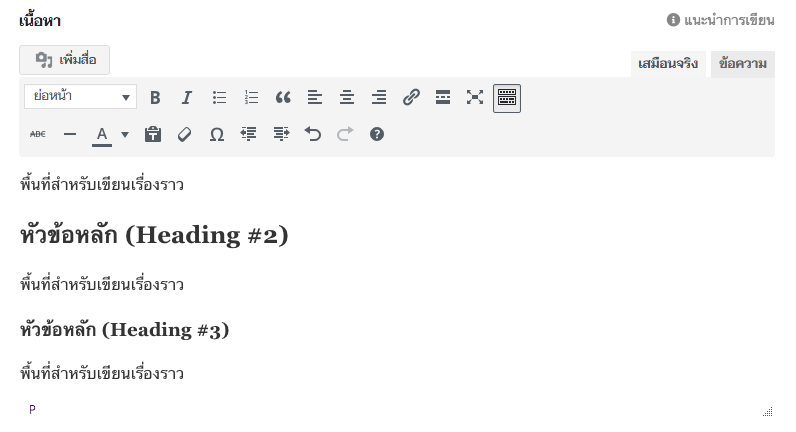 การเขียนบทความ Text editor