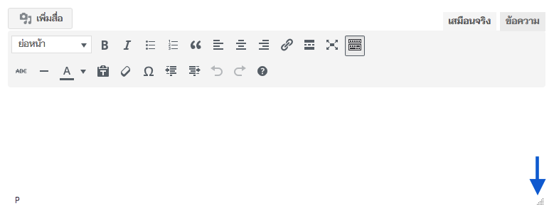 การเขียนบทความ Text editor ขยายจอ