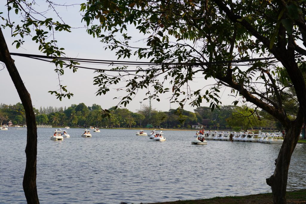 ปั่นเป็ด เรือเป็ด สวนหลวง ร.9