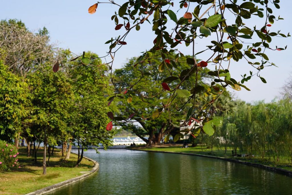 นั่งเล่นปิกนิกสวนหลวง ร.9