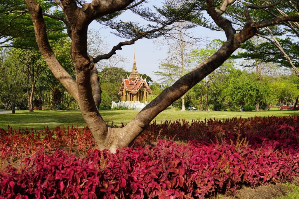 มุมถ่ายรูปสวนหลวง ร.9