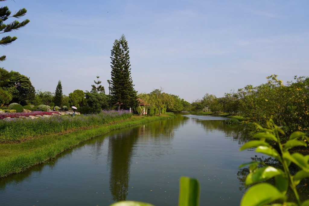 ถ่ายภาพ ธรรมชาติ สวนหลวง ร.9