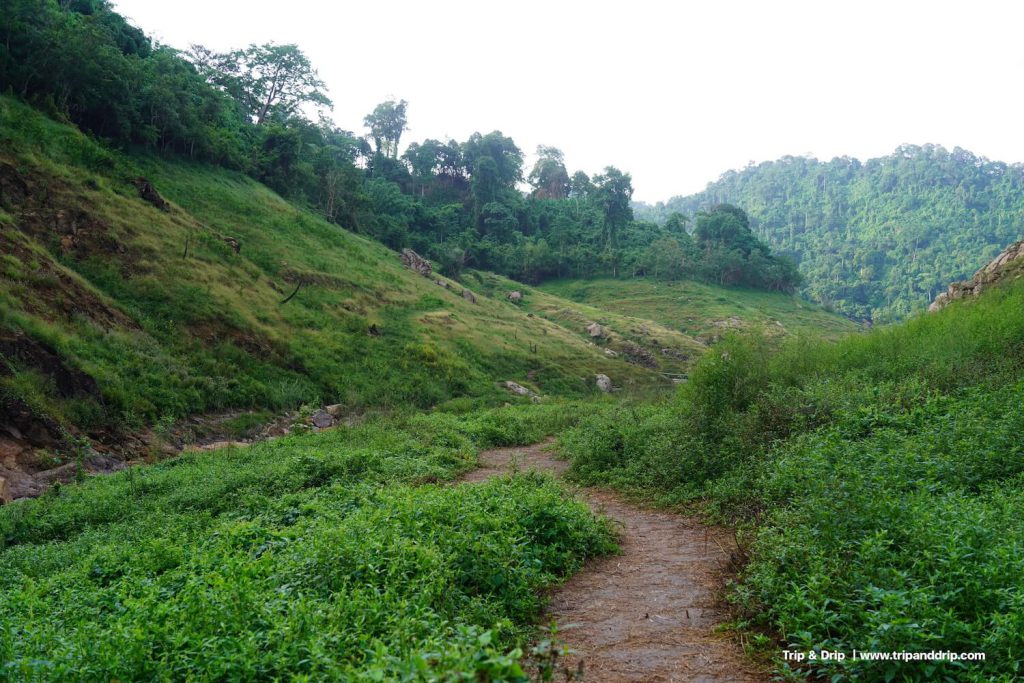 ทางเดินในเขาช่องลมเป็นดินลื่น