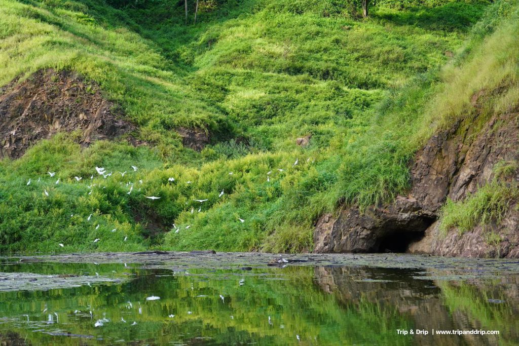 ฝูงนกใกล้เขาช่องลม