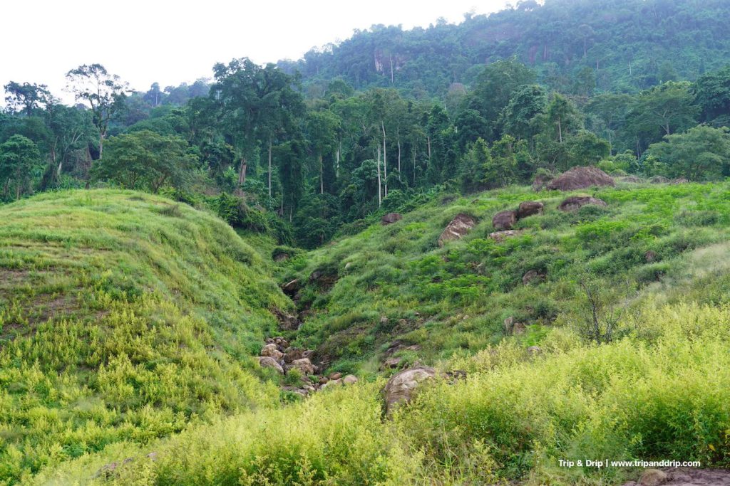 ต้นน้ำเขาช่องลม