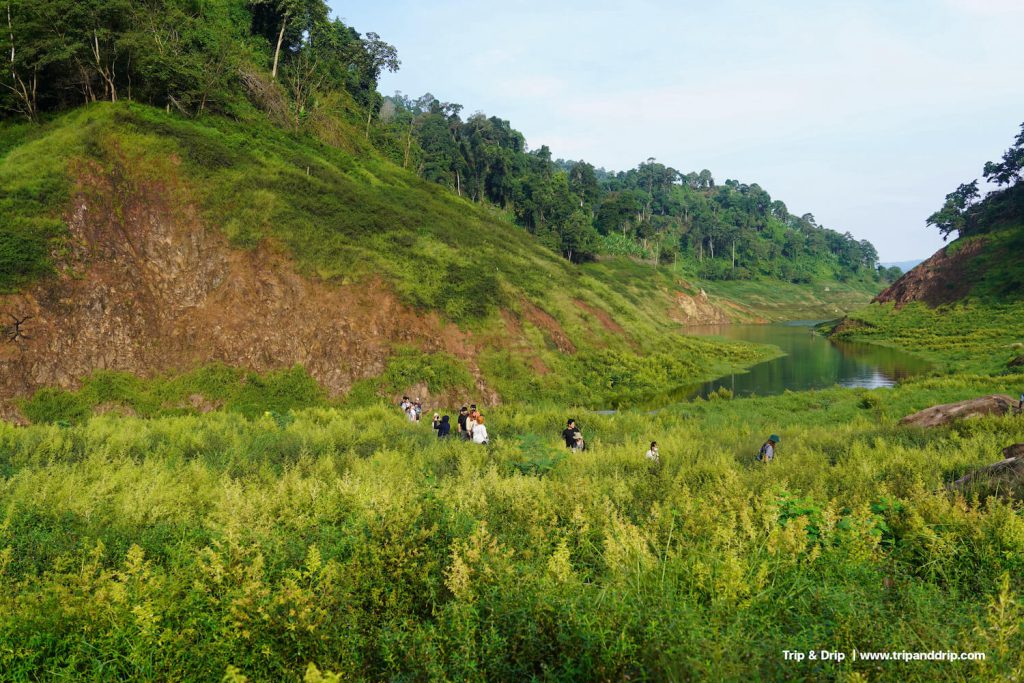 ทุ่งกว้างเขาช่องลม