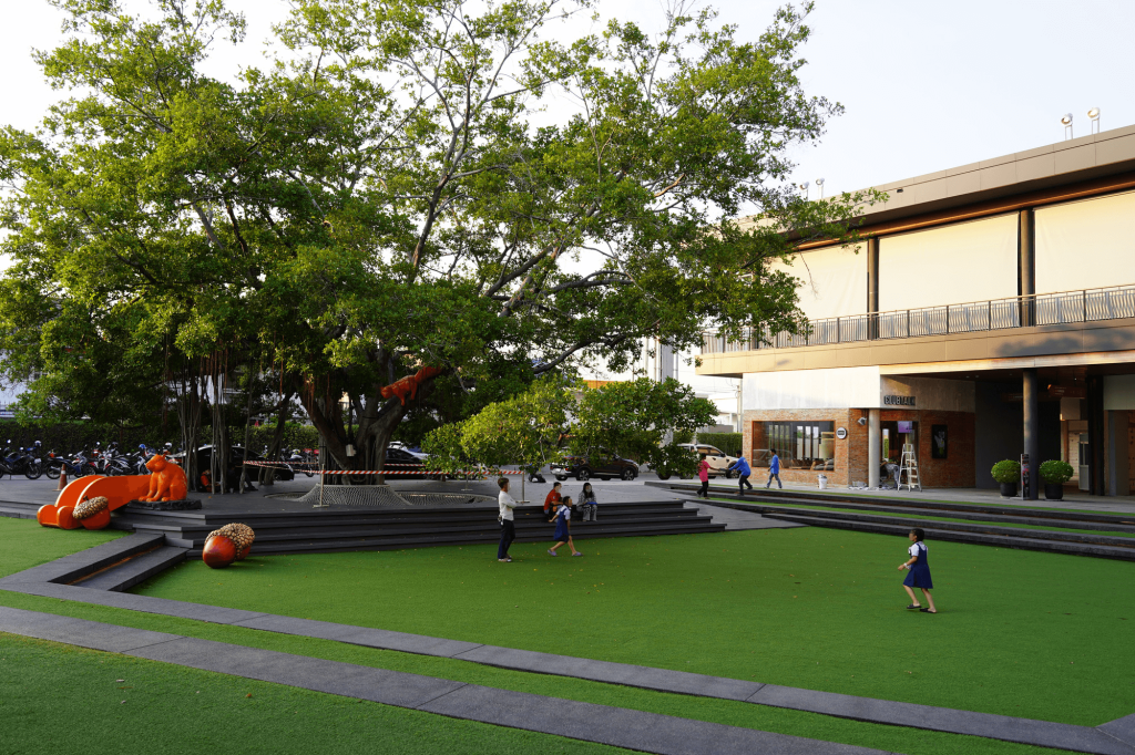 นั่งเล่นใต้ต้นไม่ใหญ่ ลาซาล อเวนิว