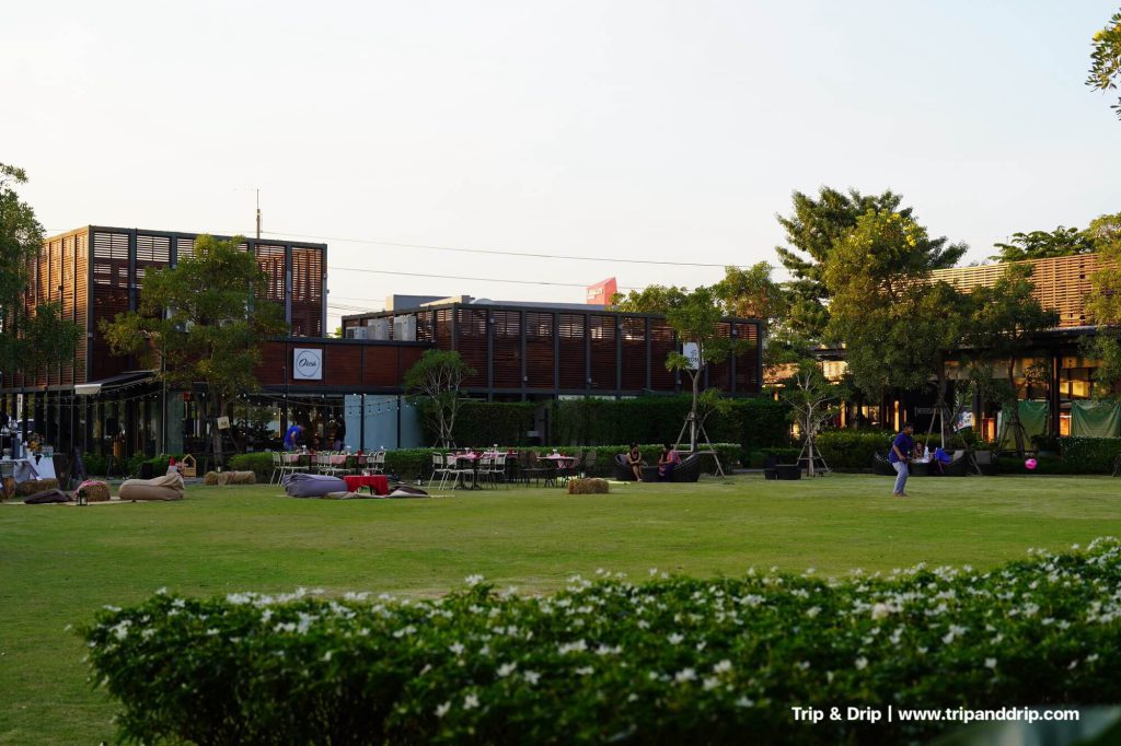 สนามหญ้า ลาซาล อเวนิว